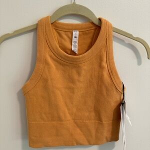 Alo Seamless Delight High Neck Bra- New with tags